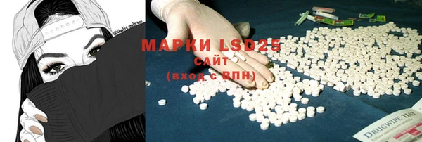 ПСИЛОЦИБИНОВЫЕ ГРИБЫ Беломорск
