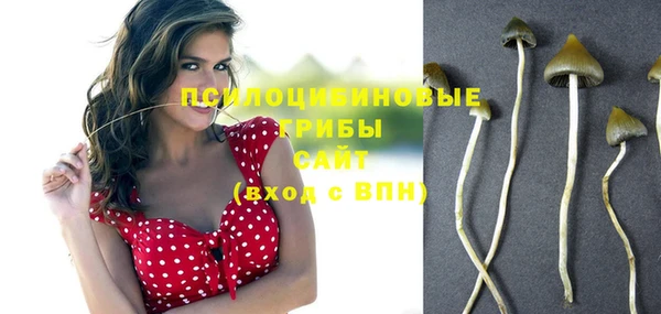 ПСИЛОЦИБИНОВЫЕ ГРИБЫ Беломорск