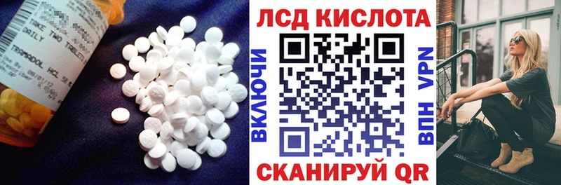купить наркотики цена Пионерский Лсд 25 экстази ecstasy